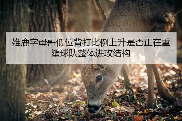 雄鹿字母哥低位背打比例上升是否正在重塑球队整体进攻结构 - kaiyun