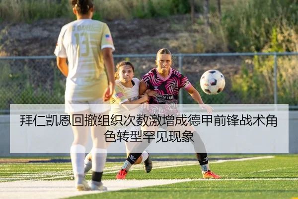 img_1779488774186_3882_1_531.jpg