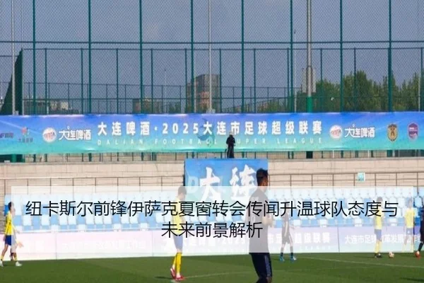 纽卡斯尔前锋伊萨克夏窗转会传闻升温球队态度与未来前景解析 | kaiyun