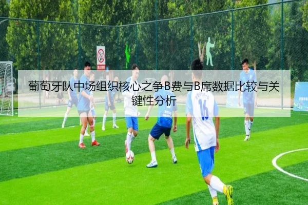 葡萄牙队中场组织核心之争B费与B席数据比较与关键性分析 | kaiyun