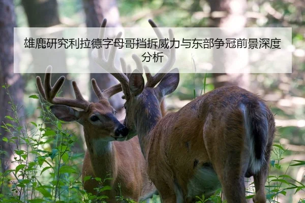 雄鹿研究利拉德字母哥挡拆威力与东部争冠前景深度分析 | kaiyun